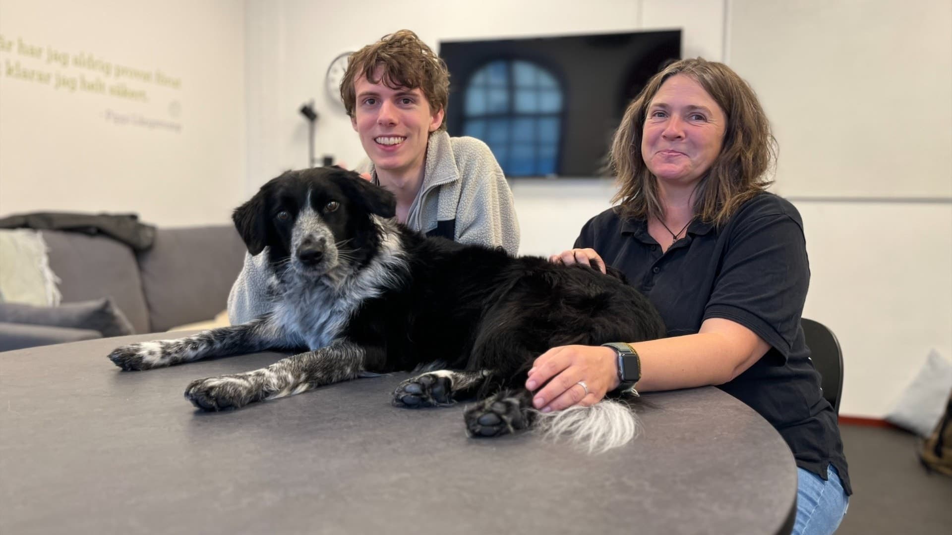 Skolhunden Dot, en svart och vit hund, ligger avslappnat på ett bord med två personer vid sidan om henne i en ljus inomhusmiljö.