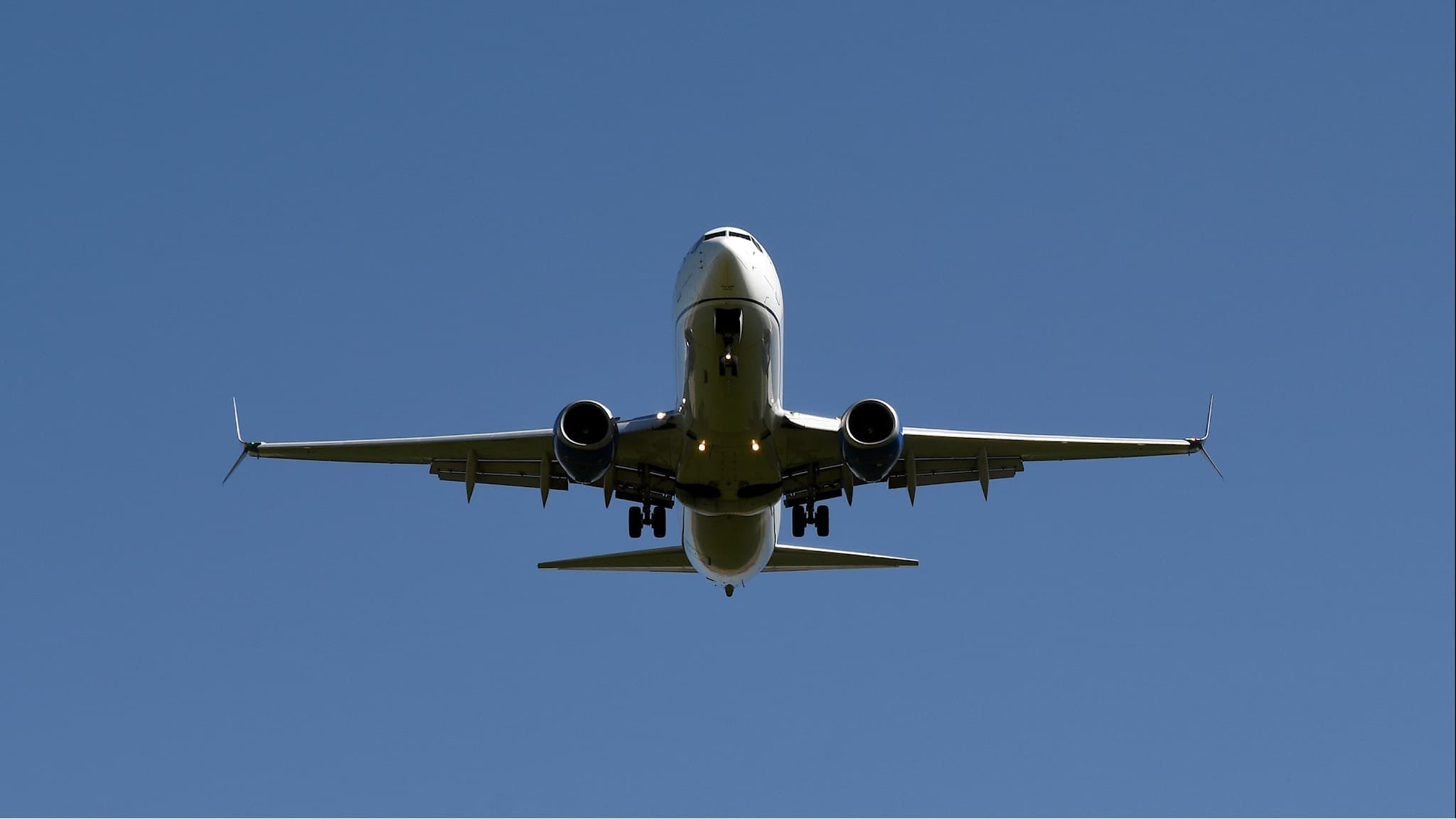 Flygplan. Foto: Ross D. Franklin