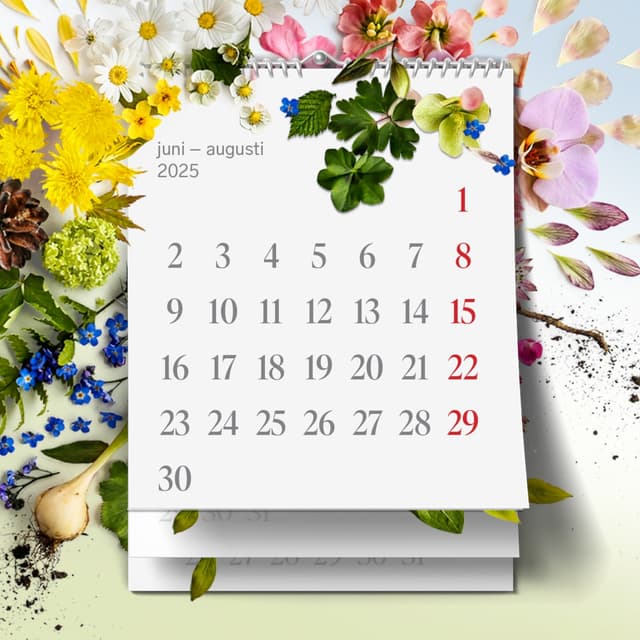 En kalender omgiven av sommarblomster