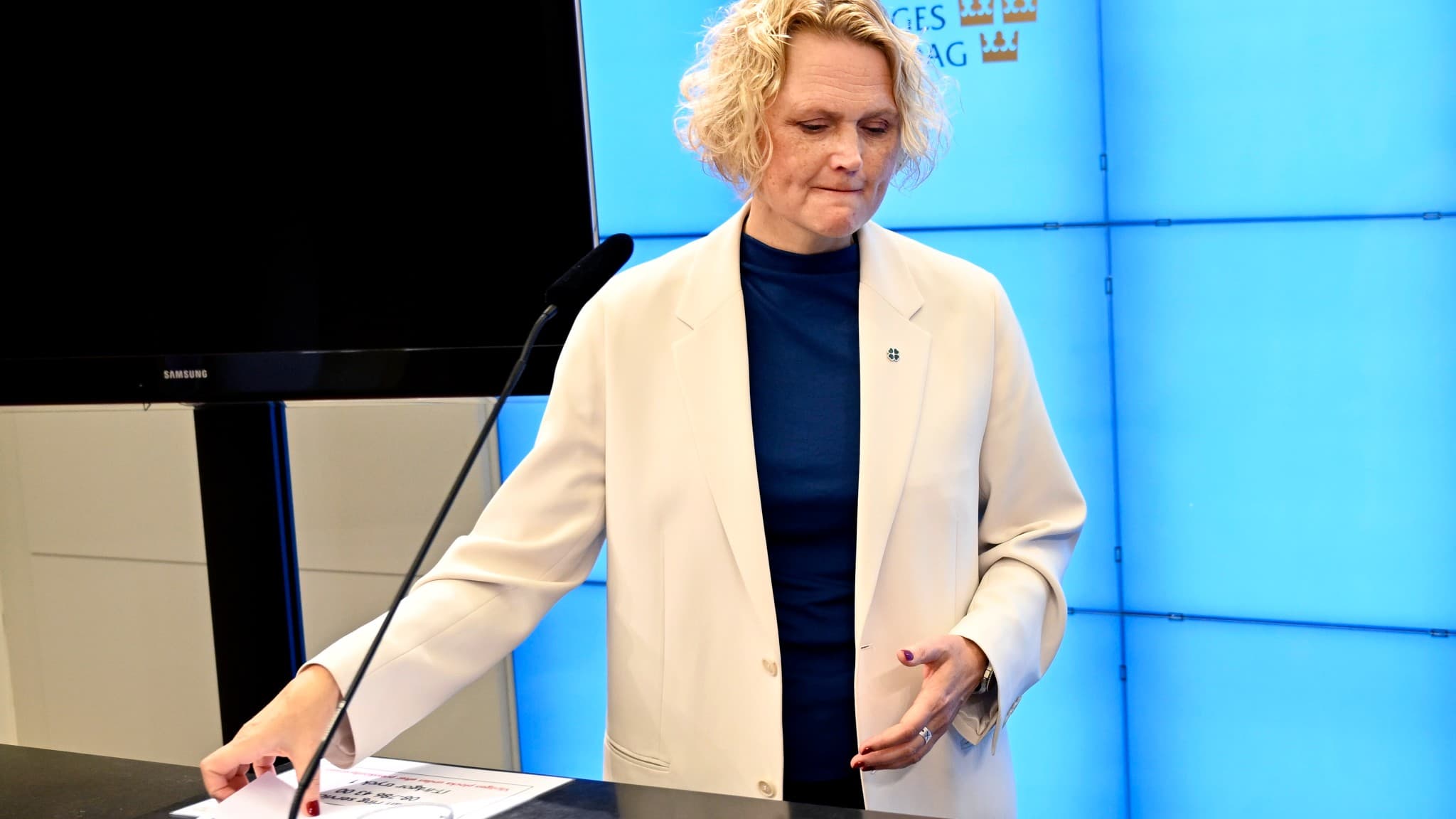 enterpartiets partiledare Anna-Karin Hatt (C) avgår